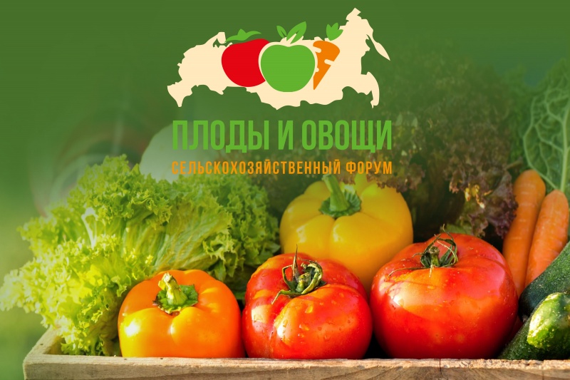 С успехом прошел III сельскохозяйственный форум «Плоды и овощи России - 2021»