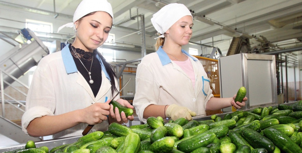Завод по переработке овощей ООО «Мегаполис» открылся в Красноармейском районе Волгограда