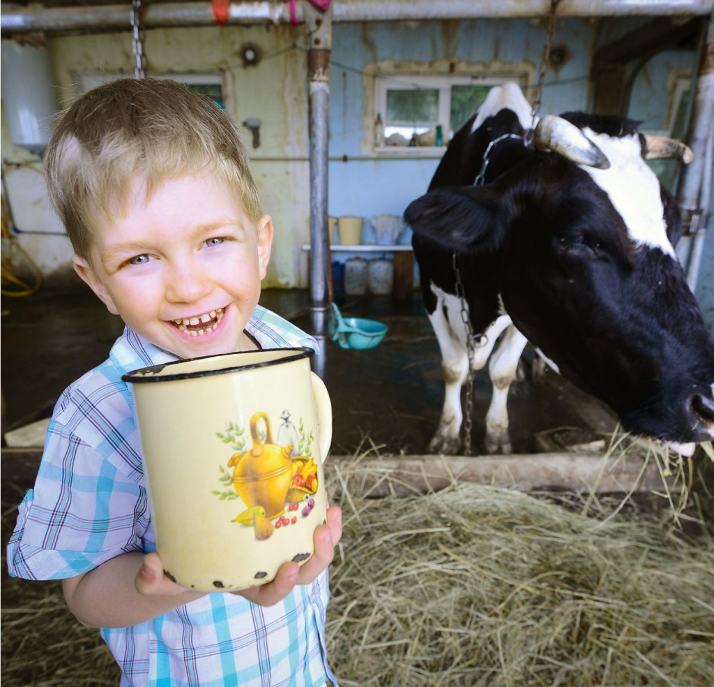 1 июня в России отметили День молока