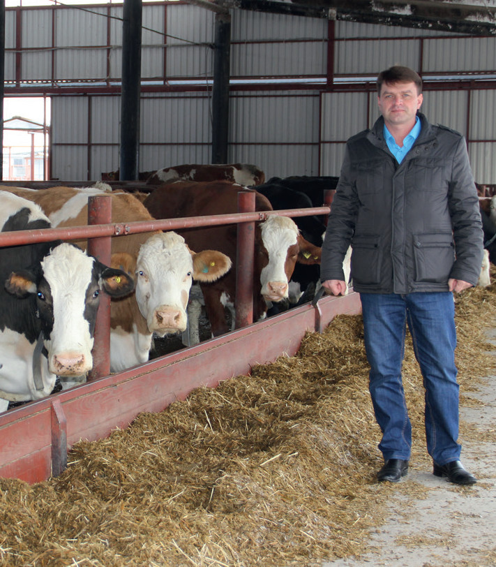 Инвестиции в молочное животноводство