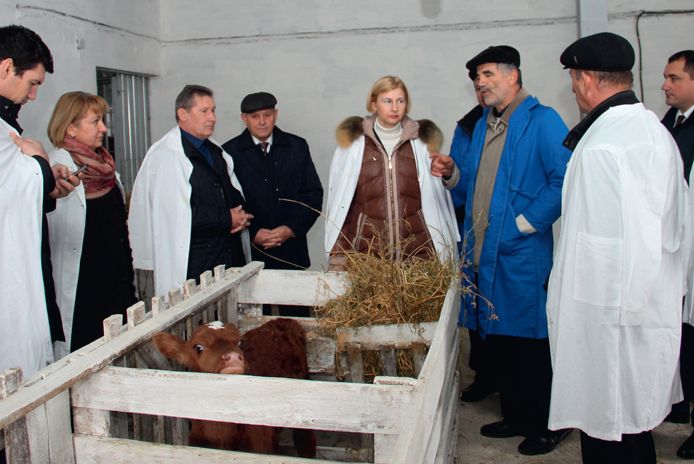 Владимир Березовский: «Помочь фермерам — значит создать им условия для развития»